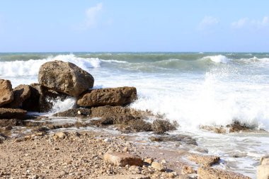 İsrail 'in kuzeyindeki Akdeniz kıyılarındaki bir şehir parkında taş ve mermiler. 