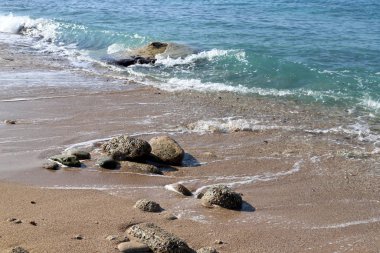 İsrail 'in kuzeyindeki Akdeniz kıyılarındaki bir şehir parkında taş ve mermiler. 