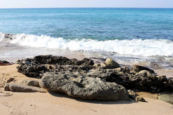 Камені Мушлі Міському Парку Березі Середземного Моря Півночі Ізраїлю — стокове фото