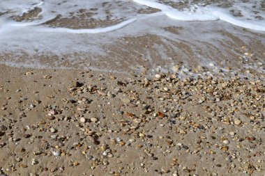 İsrail 'in kuzeyindeki Akdeniz kıyılarındaki bir şehir parkında taş ve mermiler. 