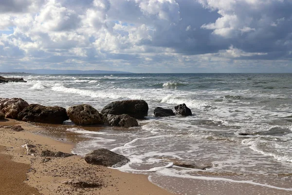 Stones Shells City Park Shores Mediterranean Sea North Israel — Stock Photo, Image