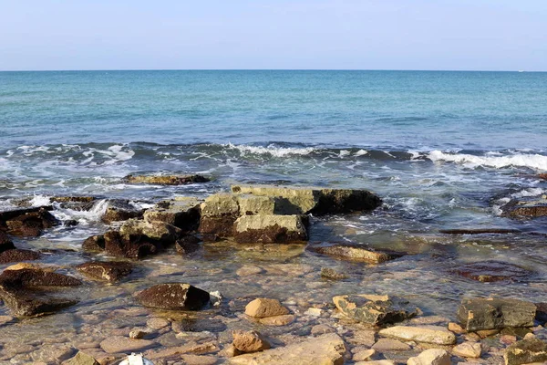 Stenen Schelpen Een Stadspark Aan Oevers Van Middellandse Zee Het — Stockfoto