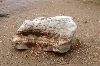 İsrail 'in kuzeyindeki Akdeniz kıyılarındaki bir şehir parkında taş ve mermiler. 