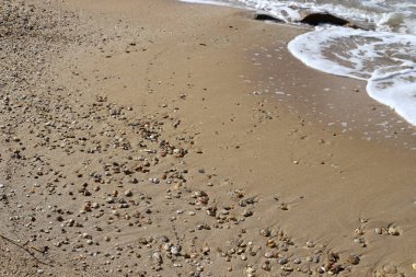İsrail 'in kuzeyindeki Akdeniz kıyılarındaki bir şehir parkında taş ve mermiler. 