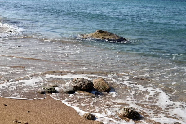 Камені Мушлі Міському Парку Березі Середземного Моря Півночі Ізраїлю — стокове фото