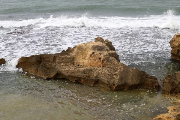 Steine Und Muscheln Einem Stadtpark Ufer Des Mittelmeeres Norden Israels — Stockfoto
