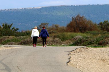 İsrail devletinin kuzeyindeki bir ormanda dolambaçlı dağ yolu. 