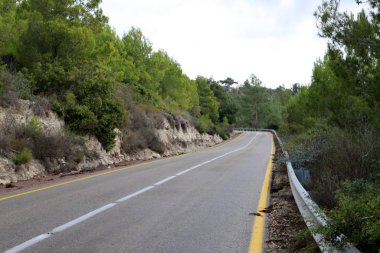 İsrail devletinin kuzeyindeki bir ormanda dolambaçlı dağ yolu. 
