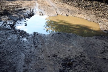 İsrail devletinin kuzeyindeki bir ormanda dolambaçlı dağ yolu. 
