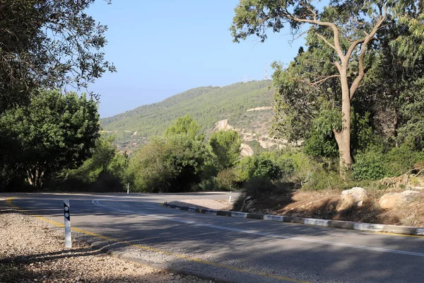 Kronkelende Bergweg Een Bos Het Noorden Van Staat Israël — Stockfoto