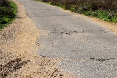 İsrail devletinin kuzeyindeki bir ormanda dolambaçlı dağ yolu. 