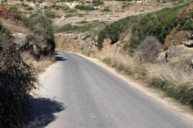 İsrail devletinin kuzeyindeki bir ormanda dolambaçlı dağ yolu. 