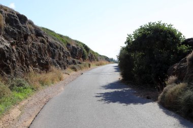 İsrail devletinin kuzeyindeki bir ormanda dolambaçlı dağ yolu. 