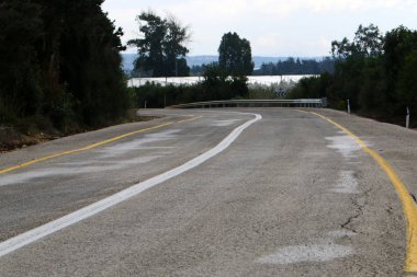 İsrail devletinin kuzeyindeki bir ormanda dolambaçlı dağ yolu. 