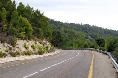 İsrail devletinin kuzeyindeki bir ormanda dolambaçlı dağ yolu. 