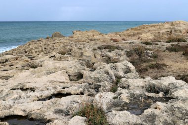 İsrail 'in kuzeyinde Akdeniz' in ıssız kıyıları 