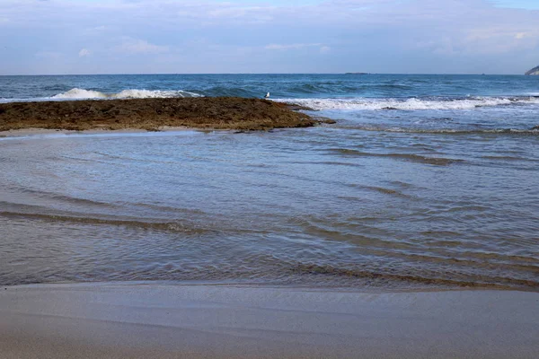 以色列北部地中海荒芜的海岸 — 图库照片