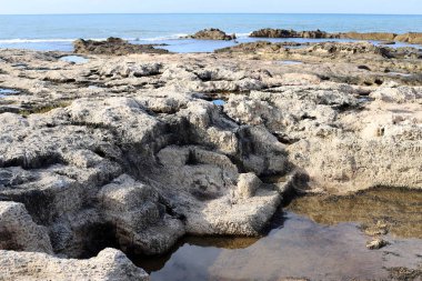 İsrail 'in kuzeyinde Akdeniz' in ıssız kıyıları 