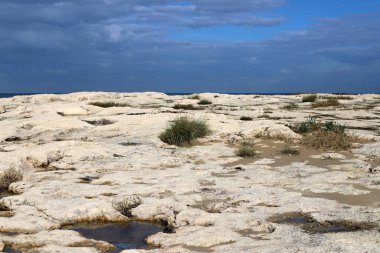 İsrail 'in kuzeyinde Akdeniz' in ıssız kıyıları 