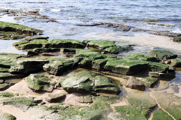 Costa Desierta Del Mar Mediterráneo Norte Israel — Foto de Stock