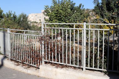 İsrail 'de Akdeniz kıyısındaki bir şehir parkında çit. 