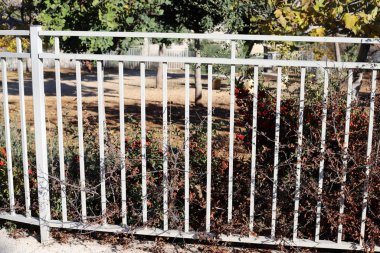 İsrail 'de Akdeniz kıyısındaki bir şehir parkında çit. 