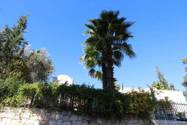 Clôture Dans Parc Urbain Sur Les Rives Mer Méditerranée Israël — Photo