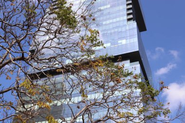 İsrail 'in Akdeniz kıyısında bir şehir olan Tel Aviv' in caddeleri boyunca yürü. 