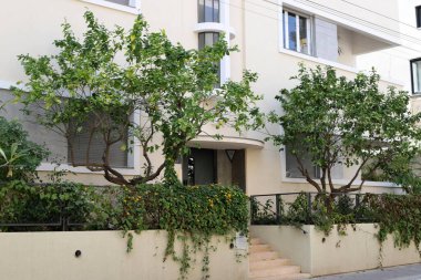 İsrail 'in Akdeniz kıyısında bir şehir olan Tel Aviv' in caddeleri boyunca yürü. 