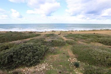 İsrail 'in kuzeyindeki Akdeniz kıyısında vahşi bir sahil. 