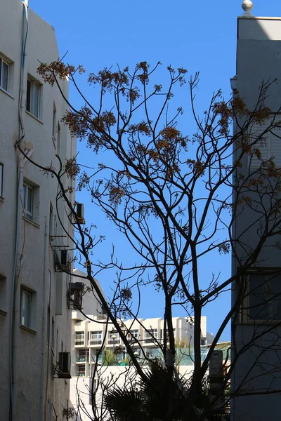 Pasear Por Las Calles Tel Aviv Una Ciudad Costa Mediterránea — Foto de Stock