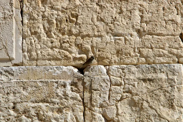 The Wailing Wall is part of the ancient wall around the western slope of the Temple Mount in the Old City of Jerusalem