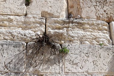 The Wailing Wall is part of the ancient wall around the western slope of the Temple Mount in the Old City of Jerusalem 