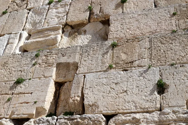 예루살렘에 의서쪽 경사면에 성벽의 일부인 — 스톡 사진