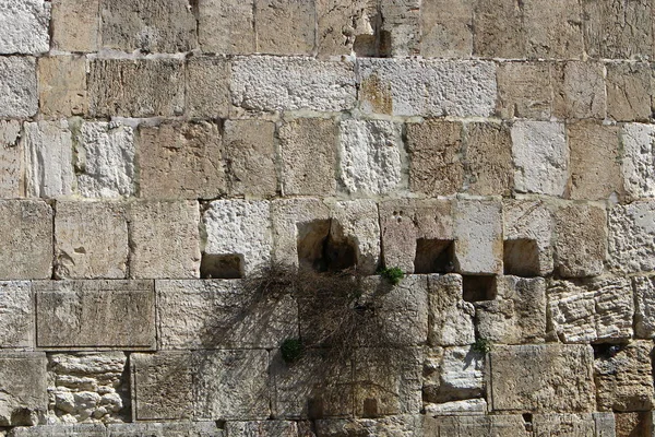 Die Klagemauer Ist Teil Der Alten Mauer Den Westhang Des — Stockfoto