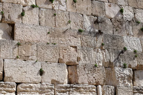 嘆きの壁はエルサレム旧市街の神殿の山の西斜面の周りの古代の壁の一部です — ストック写真