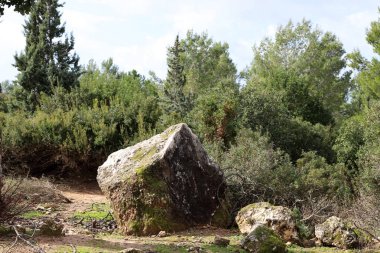 İsrail devletinin kuzeyindeki Akdeniz kıyılarında taşlar bulunuyordu. 