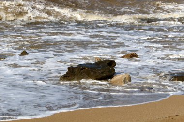 İsrail devletinin kuzeyindeki Akdeniz kıyılarında taşlar bulunuyordu. 