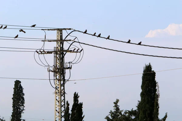 Metal Electric Pole Current Insulators Wires Which Current Flows Installed — Stock Photo, Image