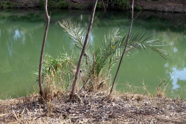 Ürdün Nehri, İsa 'nın vaftiz edildiği yer. Hıristiyanlar Ürdün 'ü kutsal bir nehir olarak görüyor 