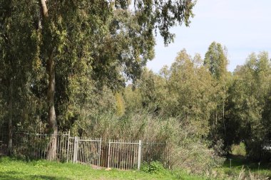 Ürdün Nehri, İsa 'nın vaftiz edildiği yer. Hıristiyanlar Ürdün 'ü kutsal bir nehir olarak görüyor 