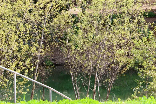 Jordan River in the place where Jesus Christ was baptized. Christians view Jordan as a holy river