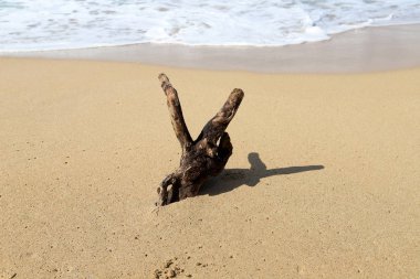 İsrail'in kuzeyinde Akdeniz kıyılarında kum ayak izleri 