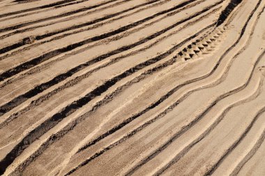İsrail'in kuzeyinde Akdeniz kıyılarında kum ayak izleri 
