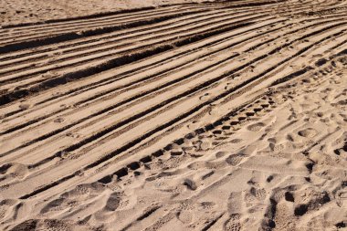 İsrail'in kuzeyinde Akdeniz kıyılarında kum ayak izleri 