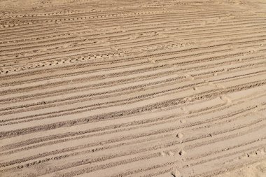 İsrail'in kuzeyinde Akdeniz kıyılarında kum ayak izleri 