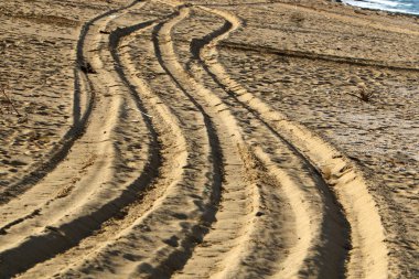 İsrail'in kuzeyinde Akdeniz kıyılarında kum ayak izleri 