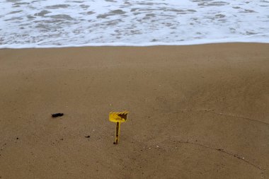 İsrail'in kuzeyinde Akdeniz kıyılarında kum ayak izleri 