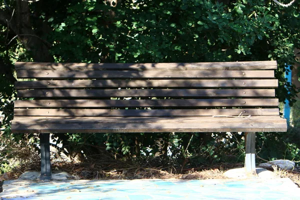 位于以色列北部地中海沿岸的一个城市公园里的长椅 — 图库照片