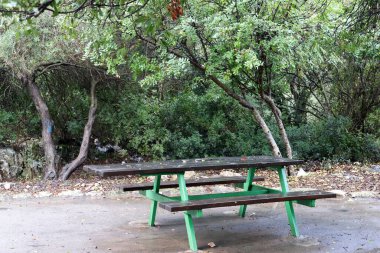 Kuzey İsrail 'de Akdeniz kıyısındaki bir şehir parkında bir bank duruyor. 